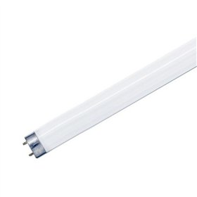 Lâmpada Tubular T5 6W 21Cm Fluorescente P/ Matar Insetos