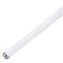 Lâmpada Tubular T8 10W 33Cm Fluorescente Uv P/ Matar Insetos
