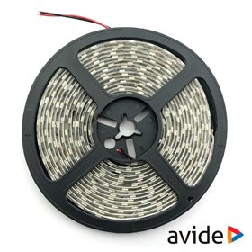 Fita 300 Leds 2835 4000K 12V 5M Ip65 Avide