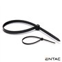 Conjunto 50 Braçadeiras Nylon 2.5X100Mm Preto Entac