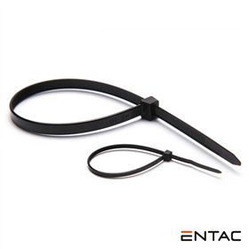 Conjunto 50 Braçadeiras Nylon 2.5X100Mm Preto Entac