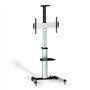 Suporte de chão inclinável Aisens FT70TRE-037 com rodas para TVs de 37 a 70 polegadas/até 50 kg