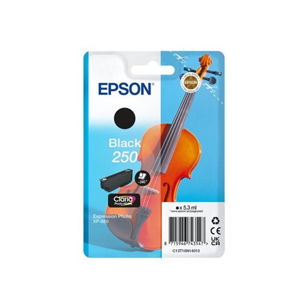 Epson 250 Preto Tinteiro Original C13T16N14010