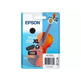 Epson 250XL Preto Tinteiro Original C13T16P14010