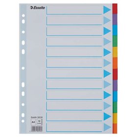 Divisórias Esselte com 12 posições - Multifuros - 6 cores - Papelão - Tamanho A4