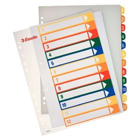 Índice de Projetos Imprimível Esselte A4 Maxi Tipo 1-12 Multicolorido - Perfurado em Vários Furos - Material PP Rígido 300 Micro