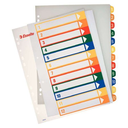 Índice de Projetos Imprimível Esselte A4 Maxi Tipo 1-12 Multicolorido - Perfurado em Vários Furos - Material PP Rígido 300 Micro
