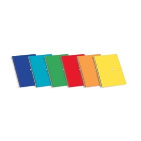 Caderno espiral Enri Plus, formato fólio, quadriculado 4x4mm - 80 folhas, papel 60gsm com margem - capa dura - cores sortidas