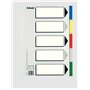 Esselte 613 Pacote com 5 divisórias plásticas - 5 abas / 5 cores - Multifuros - Formato fólio
