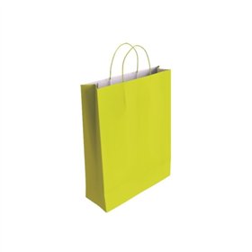 Sacola de papel celulósico Bismark - Medidas: 37x12x27cm - Cor: Pistache