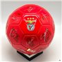 Bola SL Benfica Assinaturas Vrm.