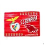 Bandeira SL Benfica 60x90cms