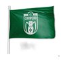 Bandeira Campeao Sporting 90x150cms