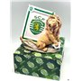 Leão com Moldura ( 10x15cms) Sporting CP