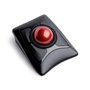 Rato Kensington Expert Mouse Trackball Sem Fios Cor Preto