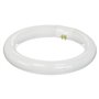 Lâmpada Circular 22W 230V 1200Lm