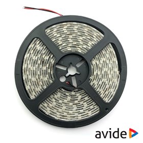 Fita 600 Leds 2835 6400K 24V 24W/M 5M Ip65 Avide