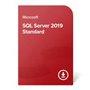 Microsoft SQL Server Standard 2019 - ESD