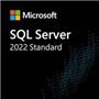 Microsoft SQL Server Standard 2022 - ESD