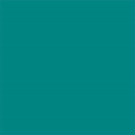 Canson Guarro Pacote de 25 Cartões Iris de 185g - 50x65cm - Cor Verde Menta