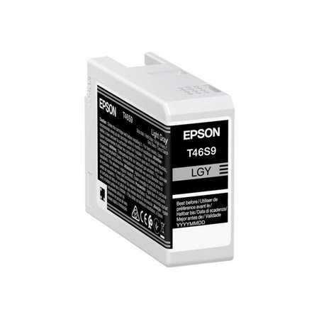 Tinteiro original Epson T46S9 cinza claro - C13T46S900