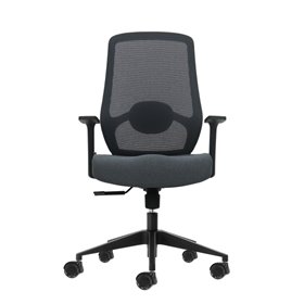 Cadeira de escritório ergonômica Oqonos Cherg 002 com suporte lombar ajustável em altura e profundidade, encosto em tela respirá