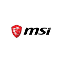 MSI